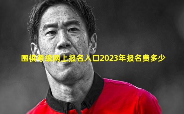 围棋考级网上报名入口2023年报名费多少