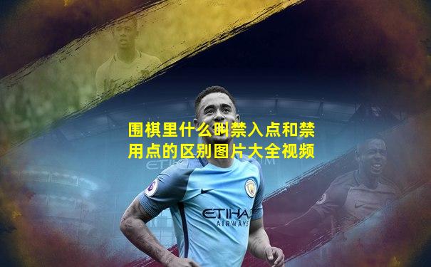 围棋里什么叫禁入点和禁用点的区别图片大全视频