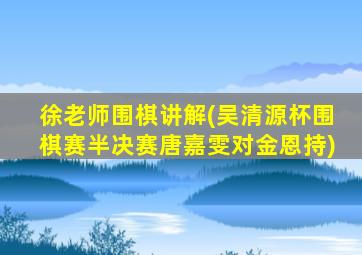 徐老师围棋讲解(吴清源杯围棋赛半决赛唐嘉雯对金恩持)