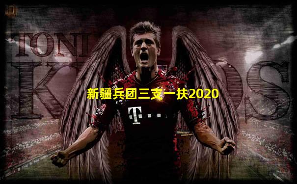 新疆兵团三支一扶2020