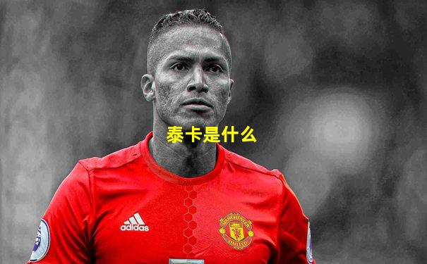 泰卡是什么