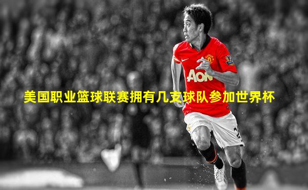 美国职业篮球联赛拥有几支球队参加世界杯
