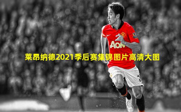 莱昂纳德2021季后赛集锦图片高清大图